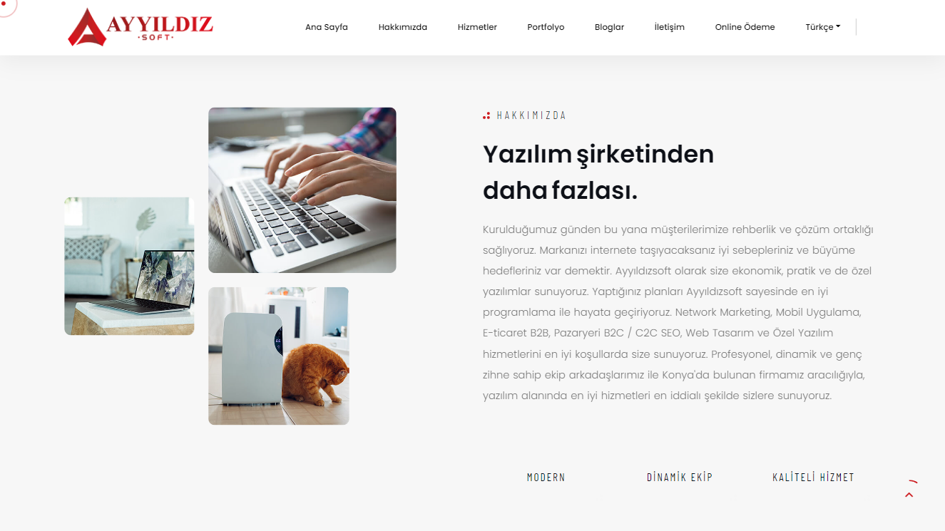 Ayyıldızsoft Yazılım Reklam